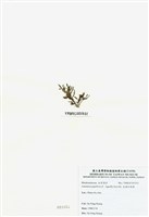 藏品(乳頭軟骨凹頂藻)的圖片